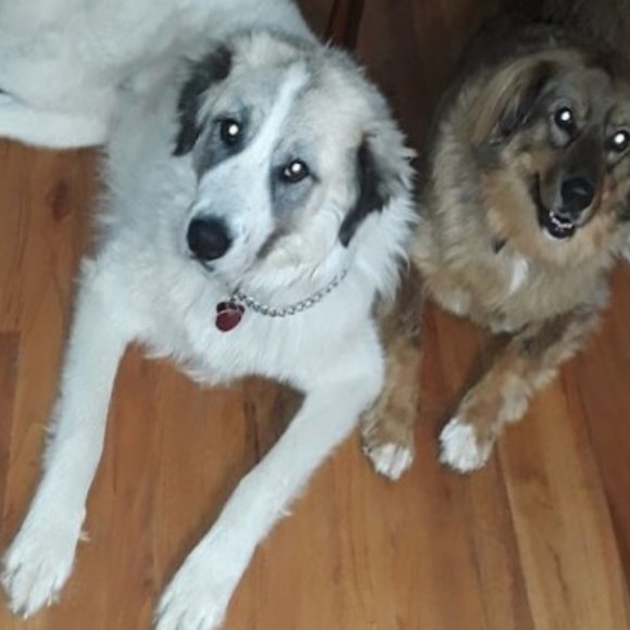 Hi my name is Rhonda and I am thankful and blessed. - Picture 3 of 5